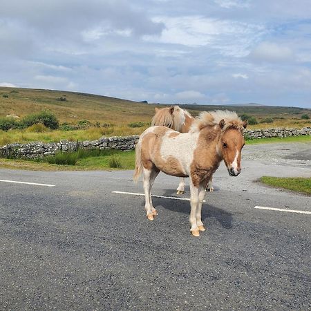 בובי טרייסי Dartmoor Reach Alpaca Farm Heated Cabins 5 Mins Drive To Dartmoor מראה חיצוני תמונה