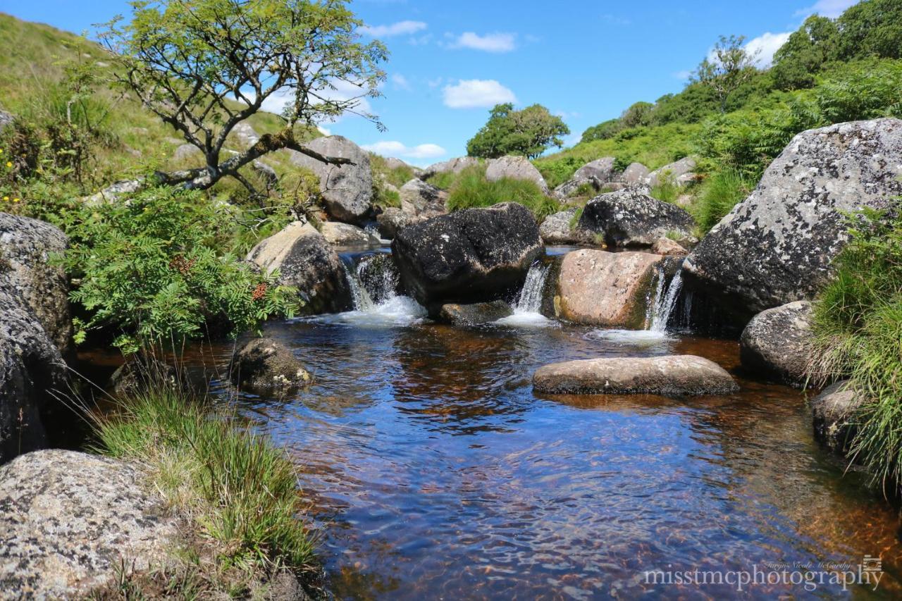 בובי טרייסי Dartmoor Reach Alpaca Farm Heated Cabins 5 Mins Drive To Dartmoor מראה חיצוני תמונה