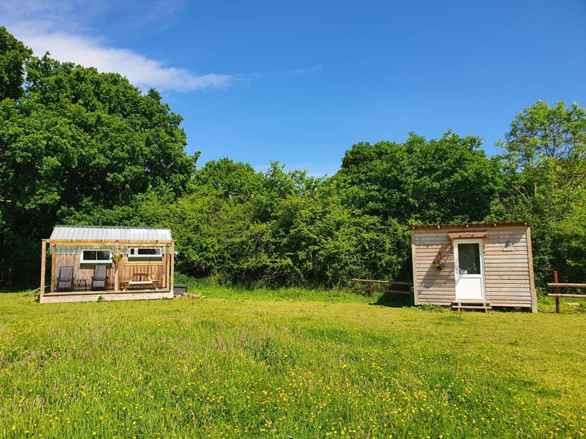 בובי טרייסי Dartmoor Reach Alpaca Farm Heated Cabins 5 Mins Drive To Dartmoor מראה חיצוני תמונה