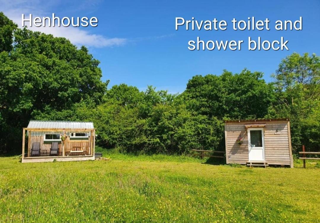 בובי טרייסי Dartmoor Reach Alpaca Farm Heated Cabins 5 Mins Drive To Dartmoor חדר תמונה