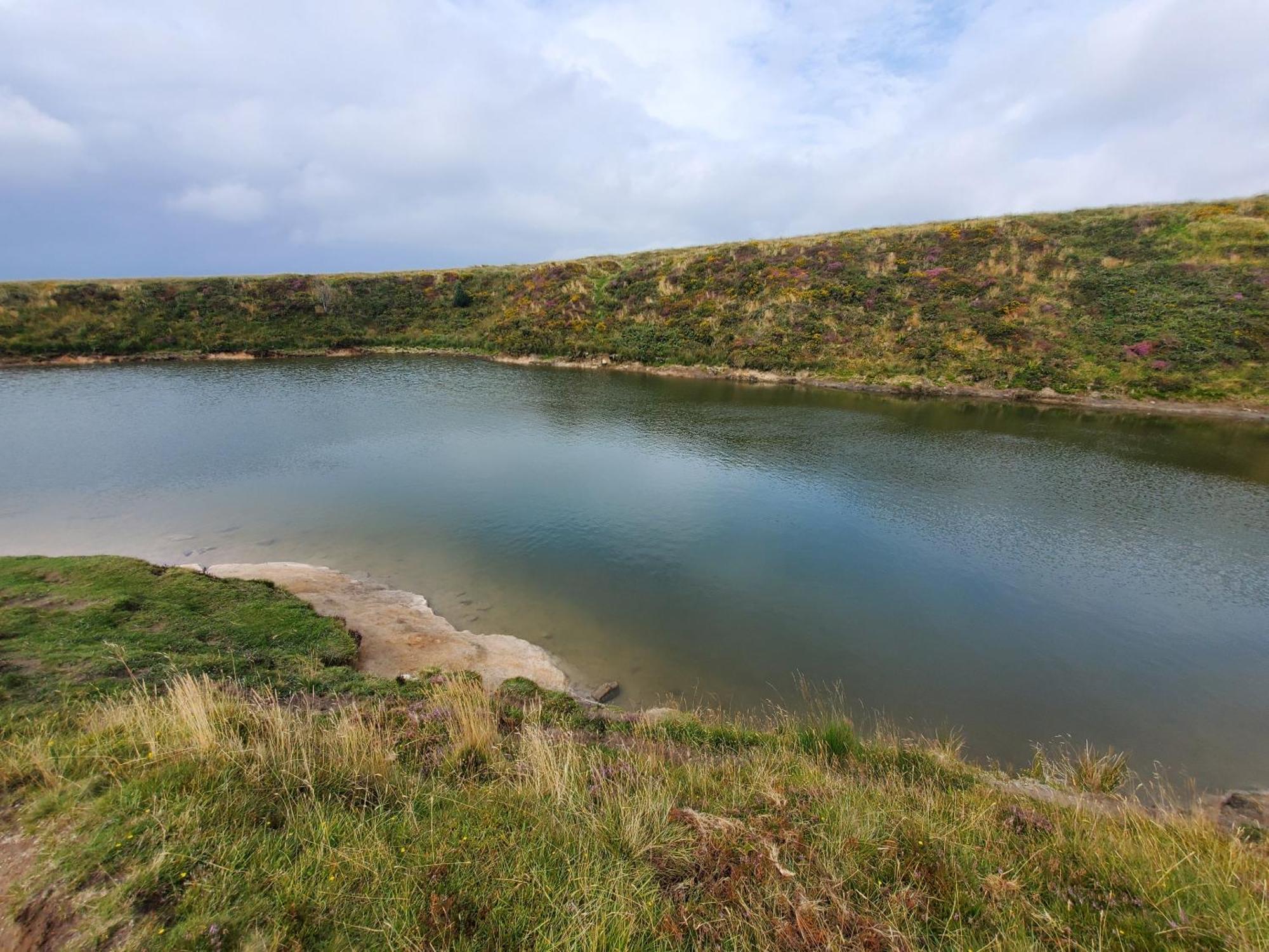 בובי טרייסי Dartmoor Reach Alpaca Farm Heated Cabins 5 Mins Drive To Dartmoor מראה חיצוני תמונה