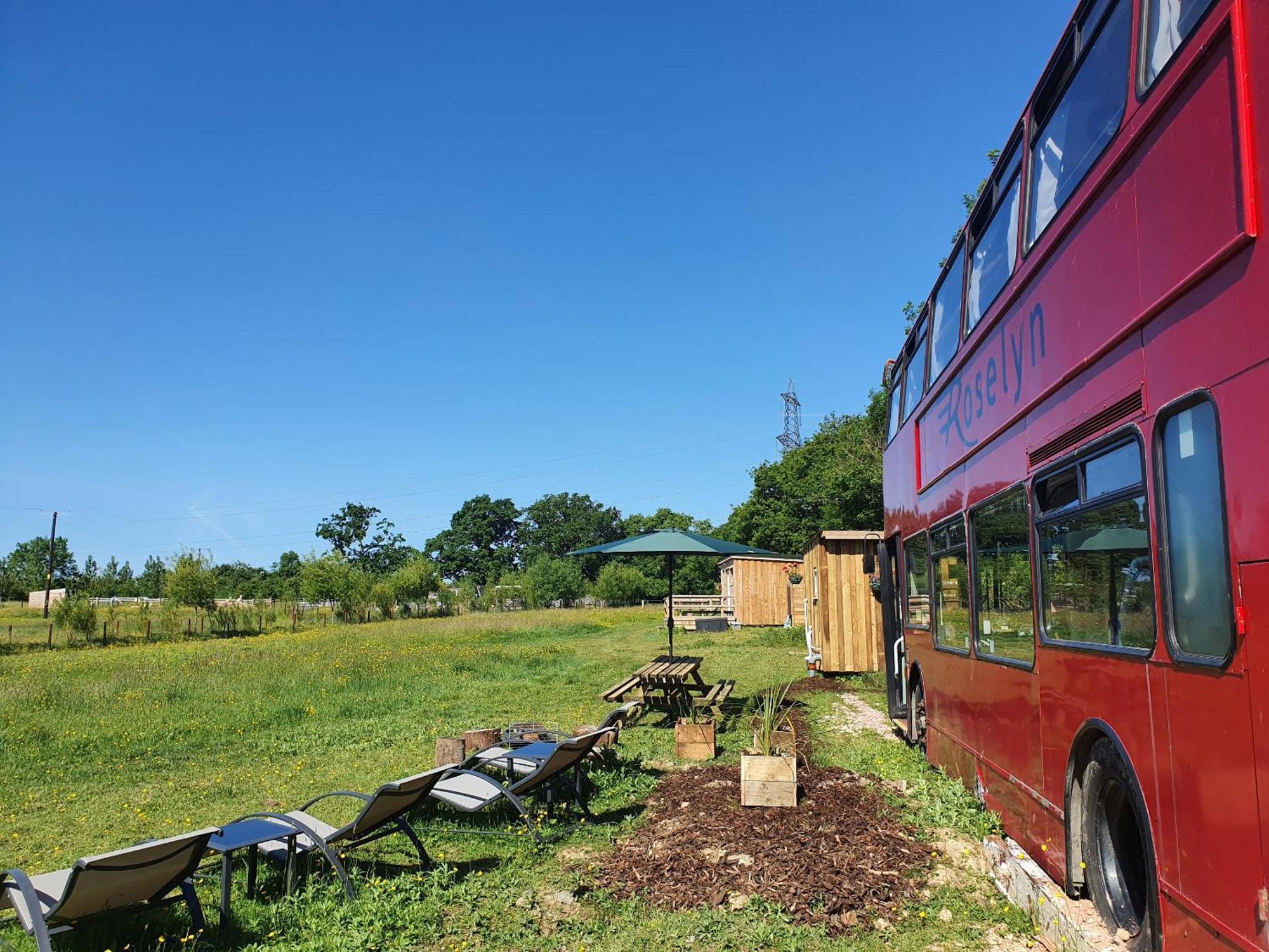 בובי טרייסי Dartmoor Reach Alpaca Farm Heated Cabins 5 Mins Drive To Dartmoor מראה חיצוני תמונה